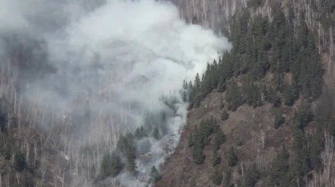 Forest fire with lots of smoke Stock Footage 37280705