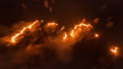 Forest in fire, Massive Fire, Dry Grass Lanes in Fire, Firefighters at Work Фото