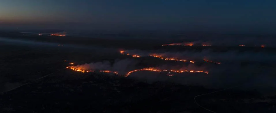 Forest in fire, Massive Fire, Dry Grass Lanes in Fire, Firefighters at Work Фото