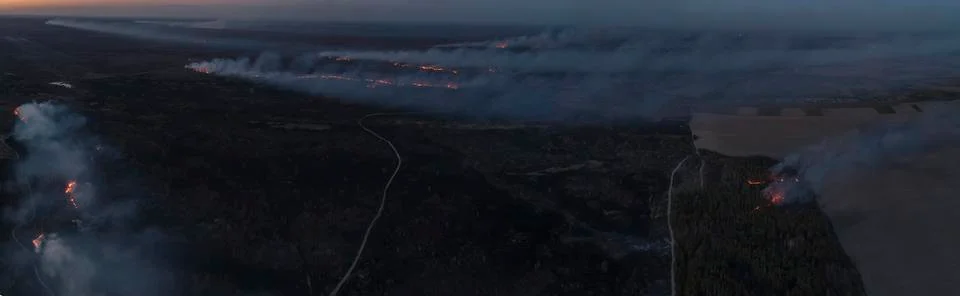 Forest in fire, Massive Fire, Dry Grass Lanes in Fire, Firefighters at Work Фото