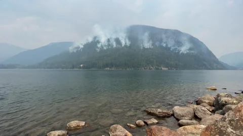 Forest fire in mountain Stock Footage 240432017