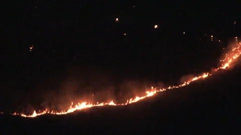 Forest fire in the mountain at night Video stock 33634891