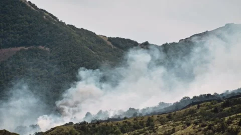 Forest fire in the mountains. Crimea. Summer 2024 Stock Footage 291099041