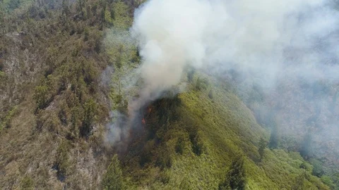 Forest fire in the mountains Stock Footage 100821147