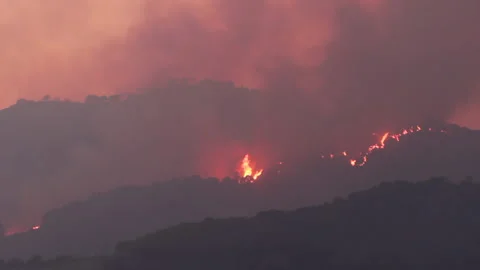 Forest fire in the mountains Stock Footage 133203340