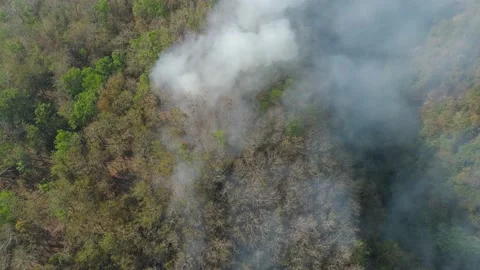 Forest fire in the mountains Stock Footage 145680962