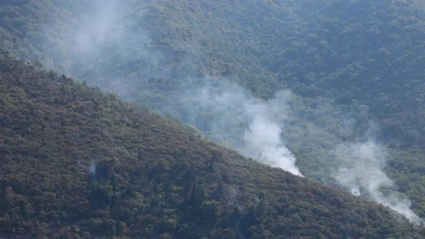 Forest fire in the mountains Video stock 206335211