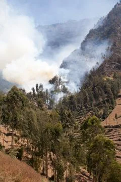 Forest fire in the mountains. Java Island, Indonesia. Fotos de archivo