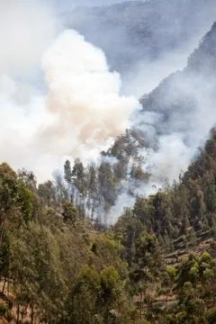 Forest fire in the mountains. Java Island, Indonesia. Natural fire in the Stock-Fotos