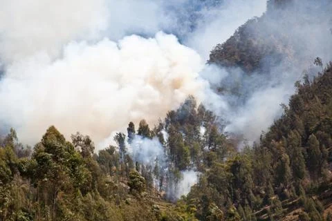 Forest fire in the mountains. Java Island, Indonesia. Stock-Fotos