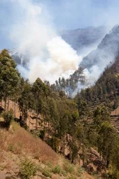 Forest fire in the mountains. Java Island, Indonesia. Fotos Stock