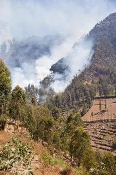 Forest fire in the mountains. Java Island, Indonesia. Natural fire in the mou Stock Photos