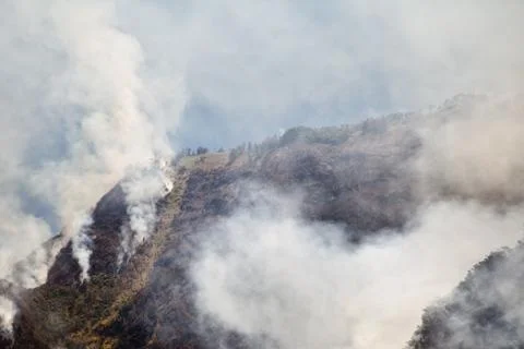 Forest fire in the mountains. Java Island, Indonesia. Natural fire in the mou Fotos de archivo