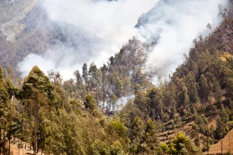 Forest fire in the mountains. Java Island, Indonesia. Fotos de archivo