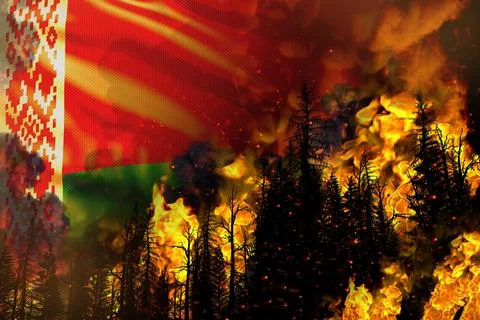 Forest fire natural disaster concept - fire in trees on Belarus flag 스톡 일러스트