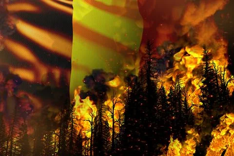 Forest fire natural disaster concept - fire in trees on Belgium flag Stock Illustration