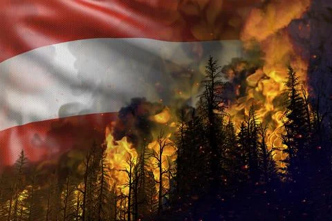 Forest fire natural disaster concept - heavy fire in the woods шт Austria Illustrazione stock
