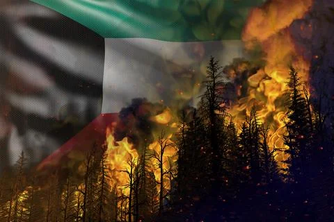 Forest fire natural disaster concept - fire in woods on Kuwait flag Stock Illustration