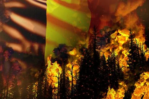 Forest fire natural disaster concept - fire in trees on Romania flag Stock Illustration