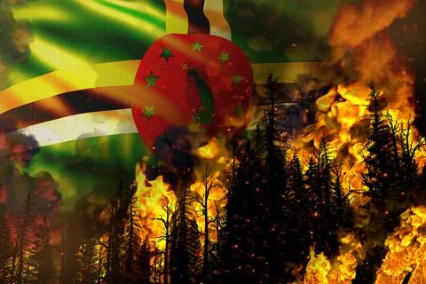 Forest fire natural disaster concept - fire on Dominica flag Stock Illustration
