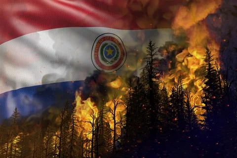 Forest fire natural disaster concept - fire in woods on Paraguay flag Stock Illustration