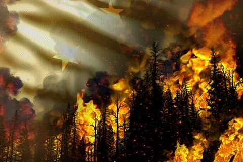 Forest fire natural disaster concept Stock-Illustration