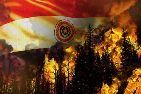 Forest fire natural disaster concept Stock Illustration