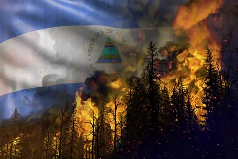 Forest fire natural disaster concept Stock-Illustration