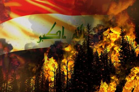 Forest fire natural disaster concept Stock Illustration