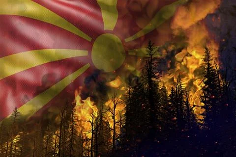 Forest fire natural disaster concept Stock-Illustration
