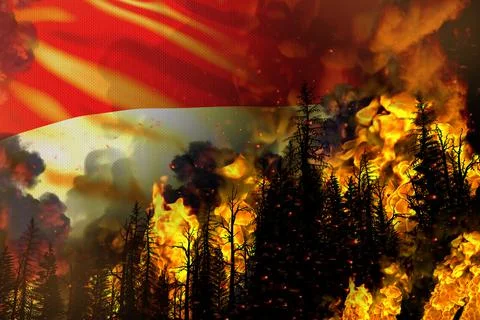Forest fire natural disaster concept 스톡 일러스트