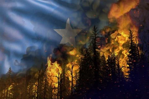 Forest fire natural disaster concept Illustrazione stock