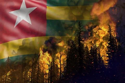 Forest fire natural disaster concept Stock-Illustration