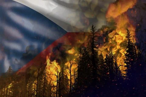 Forest fire natural disaster concept イラスト素材
