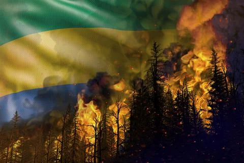 Forest fire natural disaster  - fire in woods on Gabon flag Stock Illustration