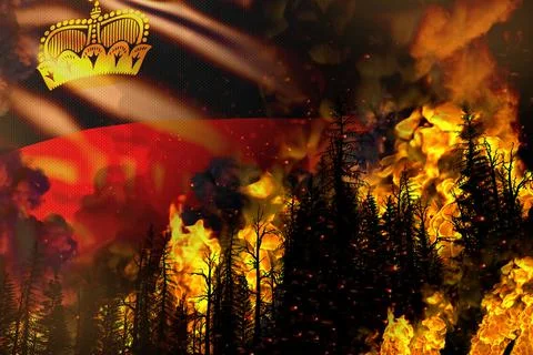 Forest fire natural disaster  - fire in trees on Liechtenstein flag Stockillustratie