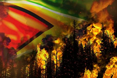 Forest fire natural disaster  - fire in trees on Guyana flag Stock Illustration