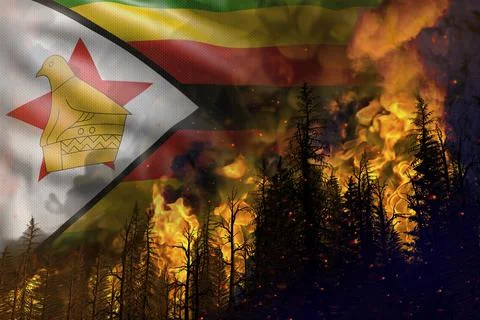 Forest fire natural disaster  - fire in woods on Zimbabwe flag Ilustração Stock