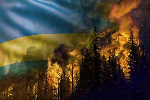 Forest fire natural disaster  - fire in woods on Rwanda flag Stock Illustration