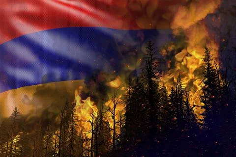 Forest fire natural disaster  - fire in woods on Armenia flag 스톡 일러스트