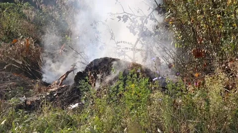 Forest fire. Nature. Ecology problem.  Stock Footage 68009245