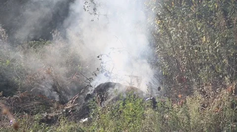 Forest fire. Nature. Ecology problem.  Stock Footage 68009646