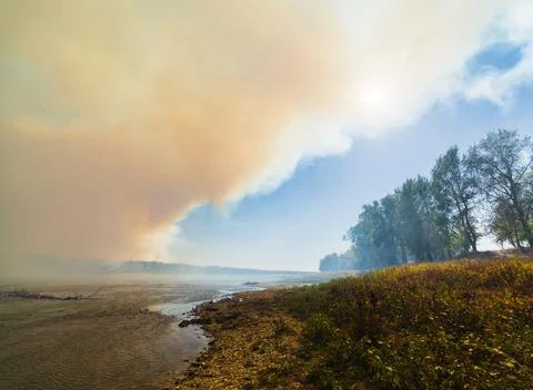 Forest fire near the river. A cloud of smoke covers the sky Stock Photos