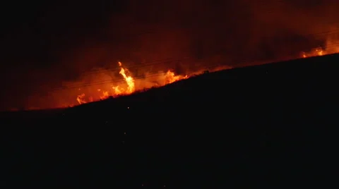 Forest Fire at Night 4k 1 Видео 53001345