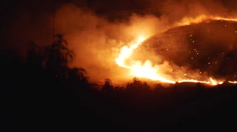 Forest Fire at Night 4k 5 Видео 53001495
