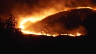 Forest Fire At Night 4K  Stock Footage