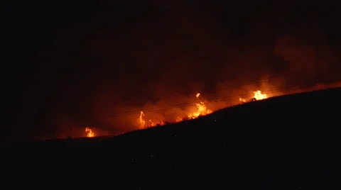 Forest Fire at Night 4k  Видео 53001381