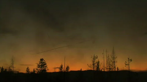 Forest Fire at Night Stock Footage 711516