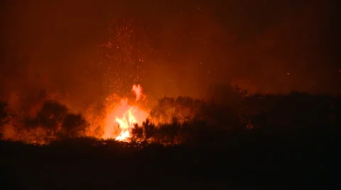 Forest fire by night Stock Footage 910447