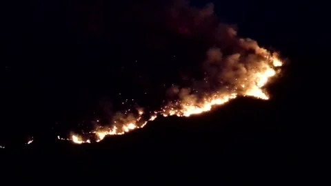 Forest fire in night Stock Footage 302584773